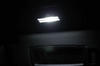 LED Sunvisor Vanity Mirrors BMW X3 (F25)