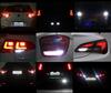 reversing lights LED for Fiat Doblo Tuning