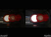 reversing lights LED for Mazda MX 5 Phase 2 before and after
