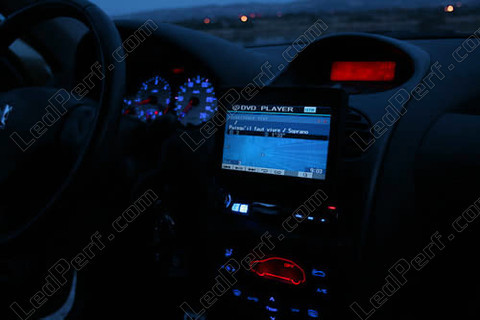 instrument panel blue and red LED for Peugeot 206 (>10/2002) Multiplexed