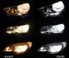 headlights LED for Renault Kangoo Tuning