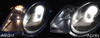 xenon white sidelight bulbs LED for Volkswagen Eos