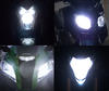 headlights LED for Honda Hornet 600 (2005 - 2006) Tuning