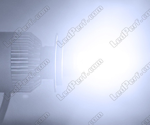 Suzuki Burgman 125 (2014 - 2021) All in One LED COB kit