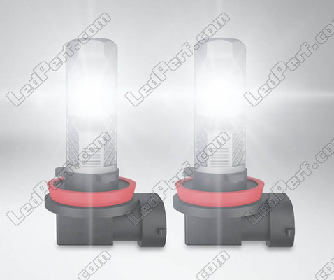 H16 Osram LEDriving Standard LED bulbs for fog lights in operation