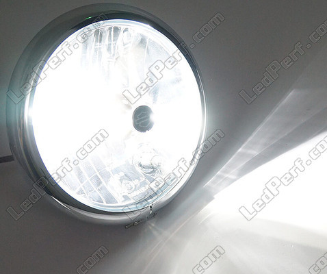 Motorcycle HB4 LED Bulb Adjustable - Pure White Lighting