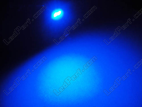 T5 Efficacity W1.2W LED with 2 Blue LEDs