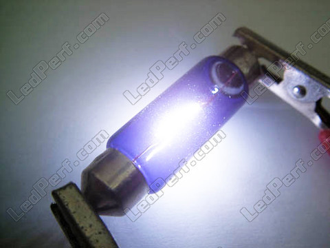 Xenon effect 31mm LED bulb C5W Halogen Blue vision