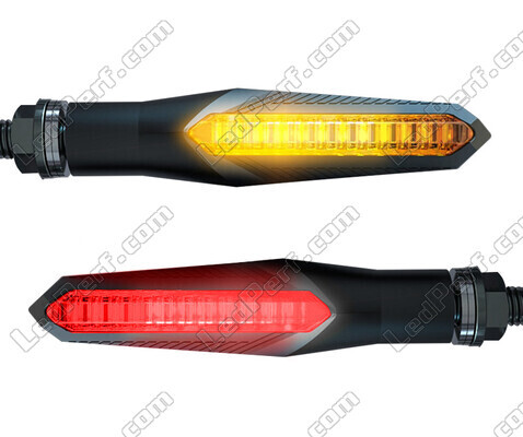Dynamic LED turn signals 3 in 1 for Triumph Tiger 1050