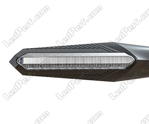 Front view of dynamic LED turn signals + brake lights for Triumph Tiger 1050