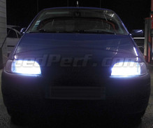 Xenon Effect bulbs pack for Fiat Punto MK1 headlights