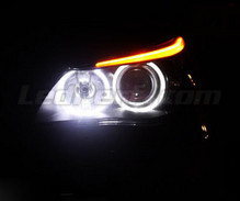 Angels Eyes LED pack for BMW 5 Series E60 E61 Ph 2 (LCI) - With original-fit xenon - MTEC V3.0
