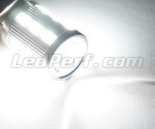 H21W backup LED bulb for reversing lights - white - Ultra Bright - BAY9S Base