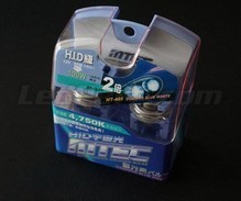 Pack of 2 MTEC Cosmos Blue H10 bulbs - xenon White
