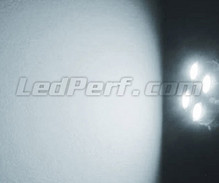 Sidelights LED Pack (xenon white) for Jaguar XJ8