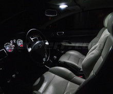 Interior Full LED pack (pure white) for Peugeot 307