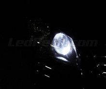 Sidelights LED Pack (xenon white) for Volkswagen Polo 9N3