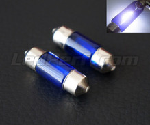 Pack of 2 halogen festoon bulbs - Xenon White - 31mm (10W)