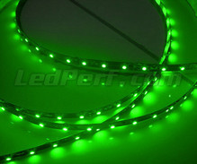 Standard 50cm flexible strip of (30 leds SMD) green