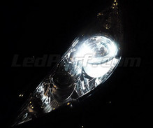 Sidelights LED Pack (xenon white) for Peugeot 207