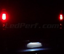 LED Licence plate pack (xenon white) for Renault Trafic 2