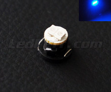 Blue 12V LED on bracket (T4.7)