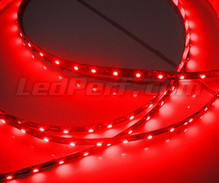 Standard 1 metre flexible strip of (60 leds SMD) red