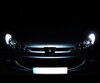 Sidelights LED Pack (xenon white) for Peugeot 206 (>10/2002)