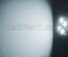 Sidelights LED Pack (xenon white) for Volkswagen Lupo