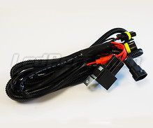 H8 - H11 Relay Harness for Xenon HID conversion Kit